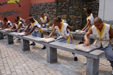 Tiě Shā Zhǎng - Iron Palm